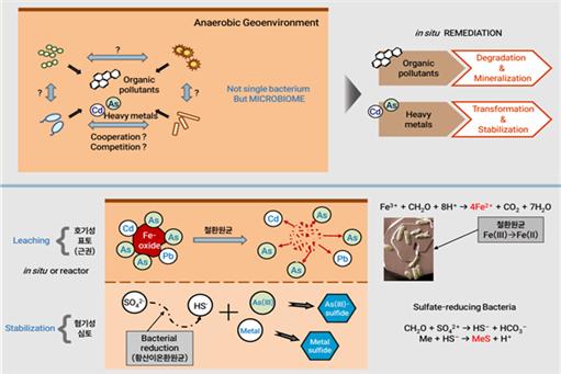 해당이미지 설명